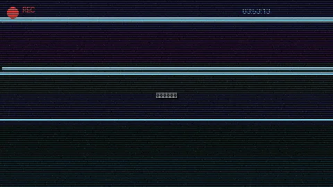 周末随拍记录 - 猫宝 原创视频